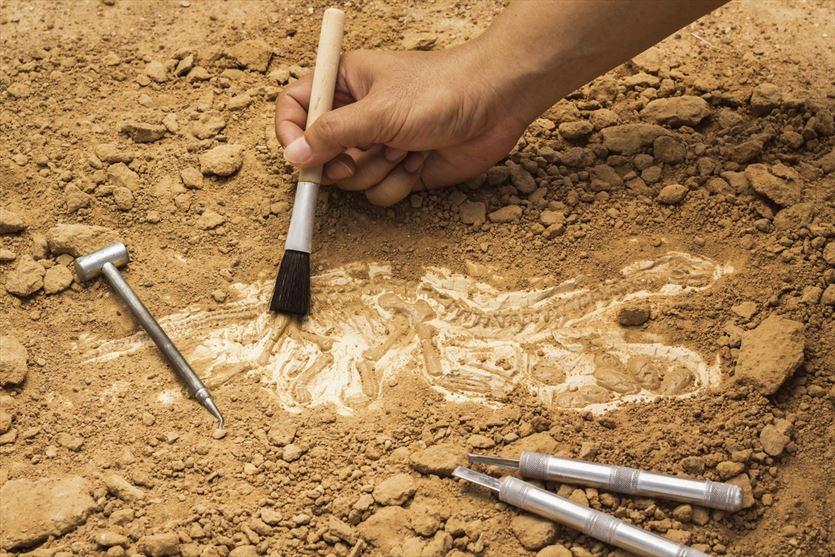 przyjazna Geodezja, kartografia - usługi, Biuro Geologiczne 